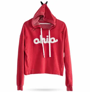 Ohio Comfy Rework Hoodie